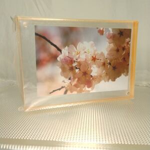 CANETTI The Magnet Picture Frame 5 ×7 Rose Edged New In Box Transparent